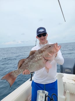 Red Snapper fishing in Clearwater, Florida