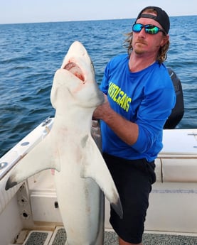 Blacktip Shark Fishing in Galveston, Texas