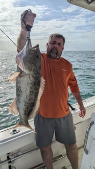 Gag Grouper Fishing in St. Petersburg, Florida