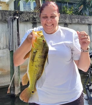 Peacock Bass fishing in Delray Beach, Florida