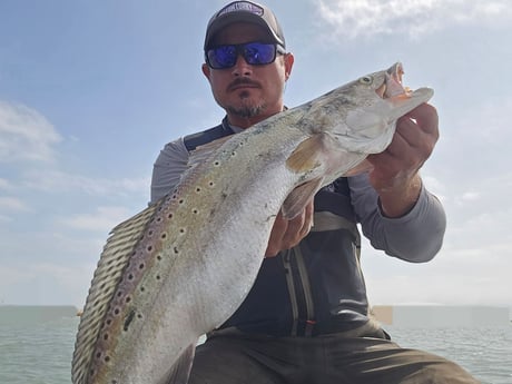 Fishing in Aransas Pass, Texas