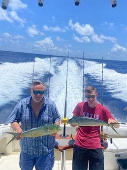 Mahi Mahi Fishing in Key West, Florida