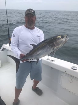 Blackfin Tuna fishing in Whitney, Texas