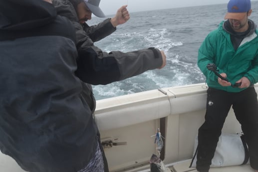 Little Tunny / False Albacore fishing in Galveston, Texas