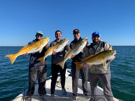 Redfish fishing in Pensacola, Florida