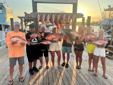 Jack Crevalle, Red Snapper Fishing in Orange Beach, Alabama