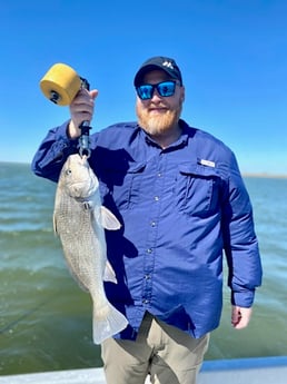 Black Drum Fishing in Corpus Christi, Texas