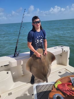 Stingray Fishing in Galveston, Texas