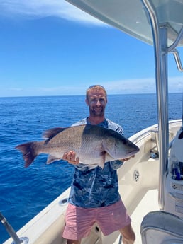 Mangrove Snapper Fishing in Pensacola, Florida