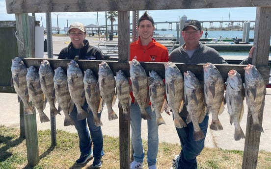 Black Drum fishing in Aransas Pass, Texas