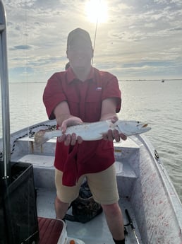 Speckled Trout / Spotted Seatrout fishing in Galveston, Texas