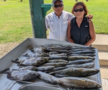 Sheepshead, Speckled Trout / Spotted Seatrout fishing in Sulphur, Louisiana