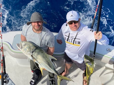 Jack Crevalle fishing in Fort Lauderdale, Florida