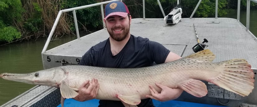 Alligator Gar fishing in Livingston, Texas