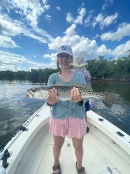 Fishing in Tampa, Florida