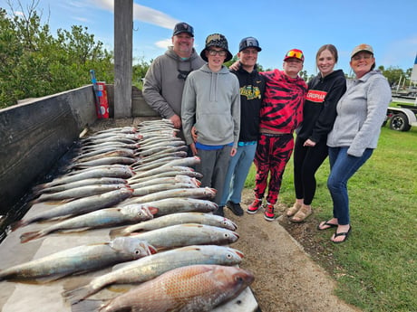 Mangrove Snapper, Speckled Trout Fishing in South Padre Island, Texas