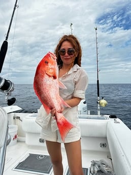 Red Snapper Fishing in Destin, Florida