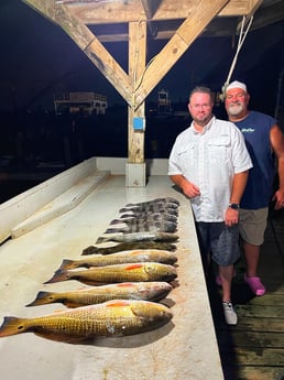 Black Drum, Flounder, Redfish Fishing in Galveston, Texas