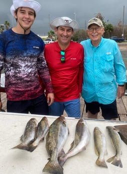 Speckled Trout / Spotted Seatrout fishing in Galveston, Texas