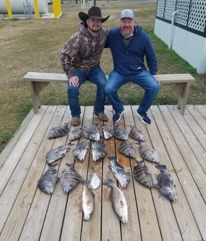 Black Drum, Flounder, Sheepshead, Speckled Trout / Spotted Seatrout fishing in Sulphur, Louisiana