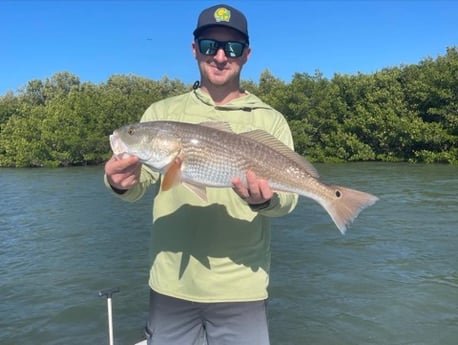 Redfish fishing in Fort Myers, Florida