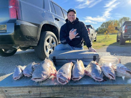 Blue Catfish Fishing in Dallas, Texas