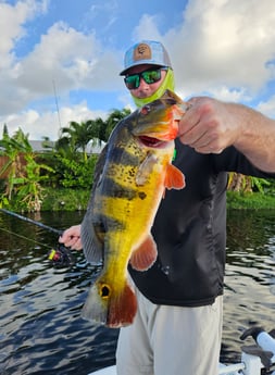 Fishing in Delray Beach, Florida