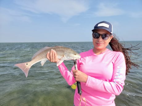 Redfish Fishing in South Padre Island, Texas