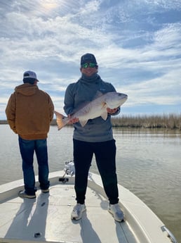 Redfish fishing in Venice, Louisiana