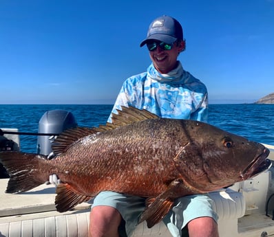 Fishing in Puerto Vallarta, Mexico