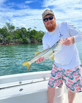 Snook Fishing in Key West, Florida