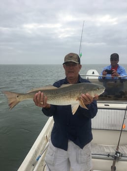 Redfish Fishing in Rio Hondo, Texas