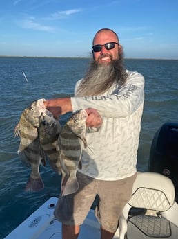 Black Drum Fishing in South Padre Island, Texas