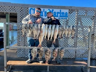 Black Drum, Redfish, Sheepshead, Speckled Trout / Spotted Seatrout Fishing in Corpus Christi, Texas