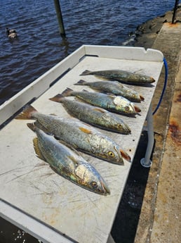 Fishing in Santa Rosa Beach, Florida