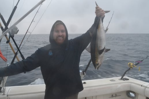 Blackfin Tuna fishing in Galveston, Texas