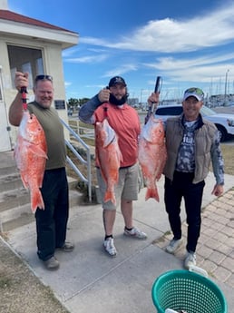 Sheepshead, Speckled Trout / Spotted Seatrout fishing in Rockport, Texas