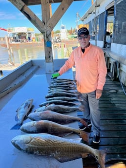 Black Drum, Redfish, Speckled Trout / Spotted Seatrout Fishing in Galveston, Texas