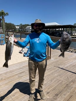 Speckled Trout / Spotted Seatrout fishing in Orange Beach, Alabama