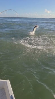 Tarpon fishing in Port O&#039;Connor, Texas