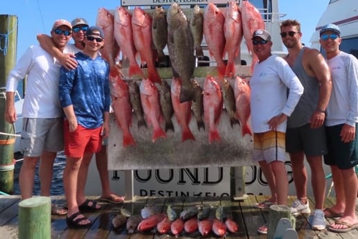 Gag Grouper, Red Snapper Fishing in Destin, Florida