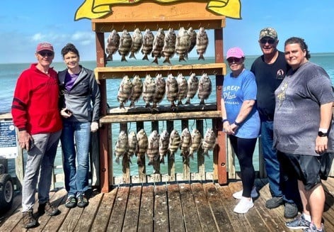 Sheepshead Fishing in South Padre Island, Texas