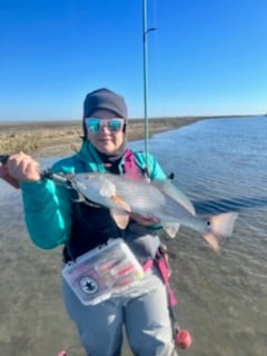 Redfish Fishing in Rockport, Texas