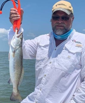 Speckled Trout / Spotted Seatrout fishing in Galveston, Texas