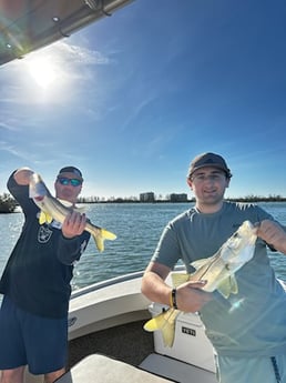 Fishing in Sarasota, Florida