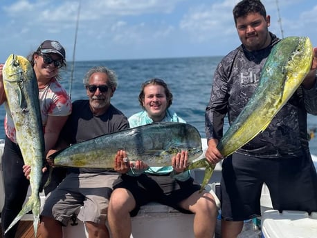 Mahi Mahi / Dorado fishing in Riviera Beach, Florida