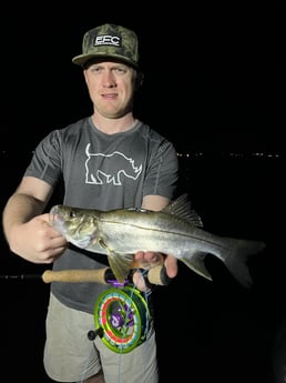 Snook Fishing in Jupiter, Florida