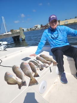 Redfish, Speckled Trout / Spotted Seatrout fishing in Galveston, Texas