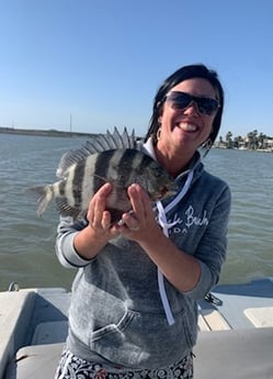 Sheepshead fishing in Corpus Christi, Texas