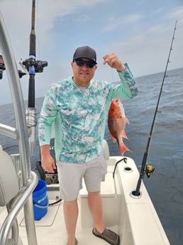 Red Snapper Fishing in Pensacola, Florida